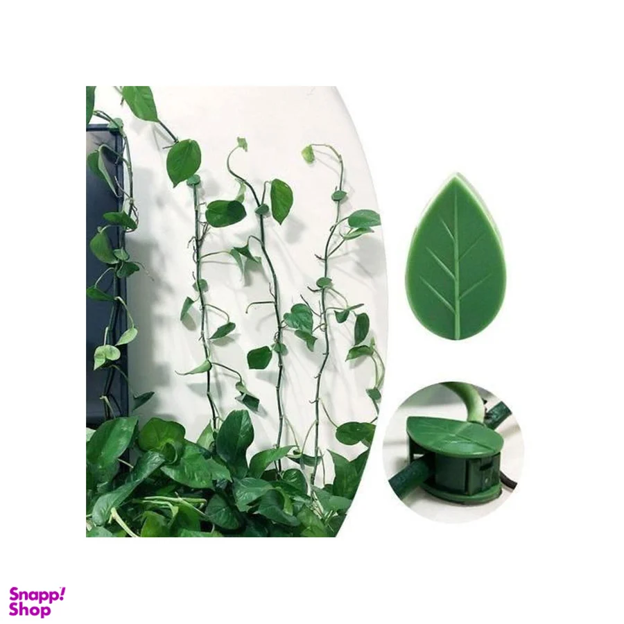 گیره نگهدارنده گیاه بسته 10 عددی